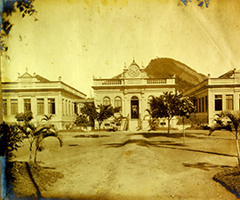 Ir para IPUB - Instituto de Psiquia...